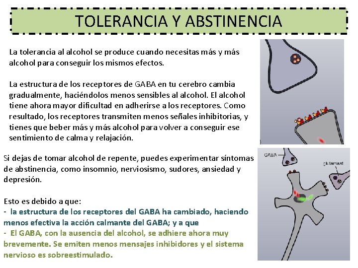 TOLERANCIA Y ABSTINENCIA La tolerancia al alcohol se produce cuando necesitas más y más