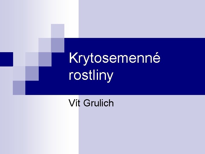 Krytosemenné rostliny Vít Grulich 