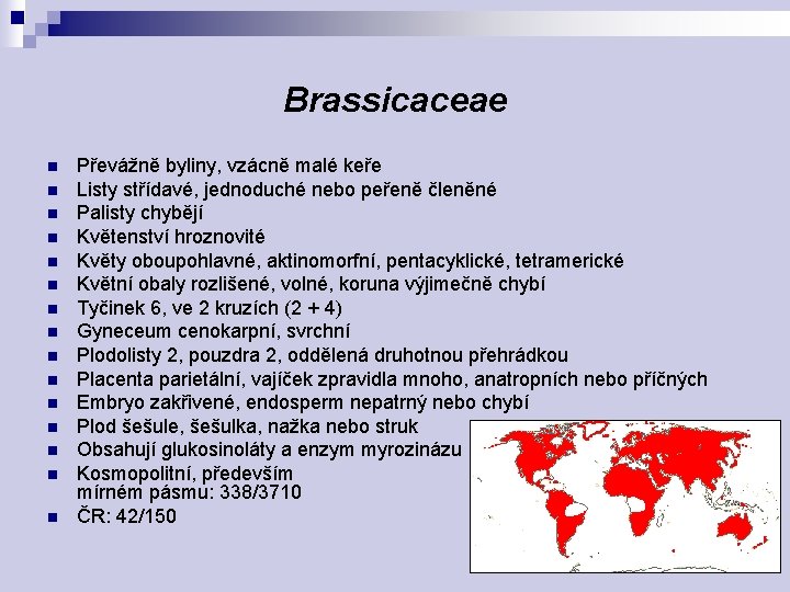 Brassicaceae n n n n Převážně byliny, vzácně malé keře Listy střídavé, jednoduché nebo