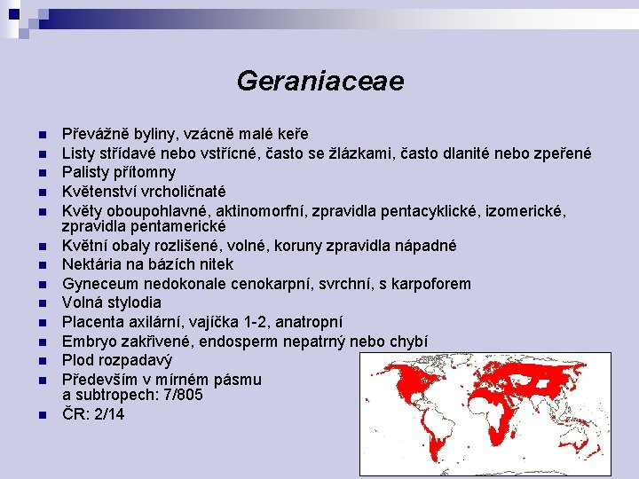 Geraniaceae n n n n Převážně byliny, vzácně malé keře Listy střídavé nebo vstřícné,