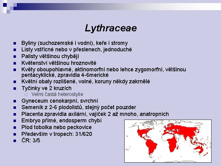 Lythraceae n n n n Byliny (suchozemské i vodní), keře i stromy Listy vstřícné