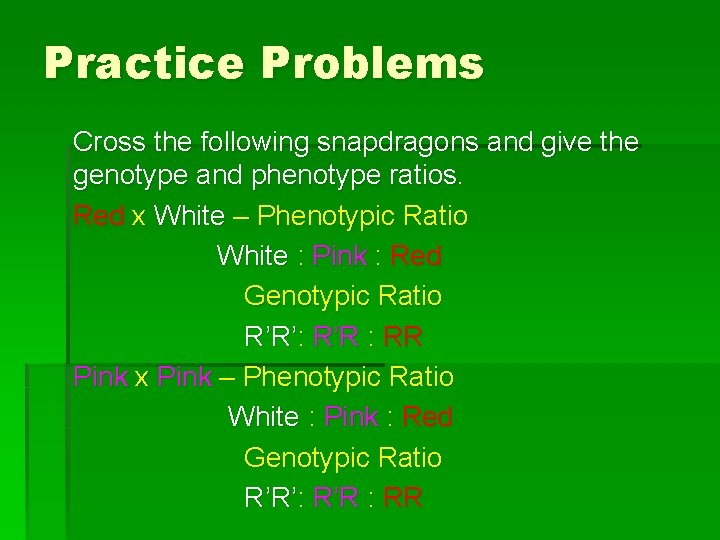 Practice Problems Cross the following snapdragons and give the genotype and phenotype ratios. Red
