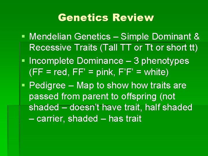 Genetics Review § Mendelian Genetics – Simple Dominant & Recessive Traits (Tall TT or