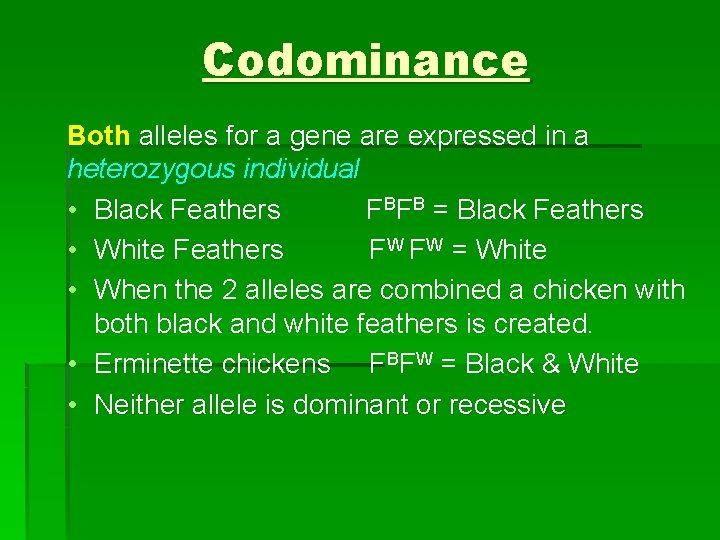 Codominance Both alleles for a gene are expressed in a heterozygous individual • Black