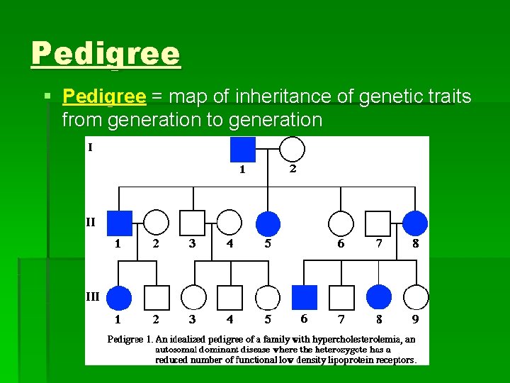 Pedigree § Pedigree = map of inheritance of genetic traits from generation to generation