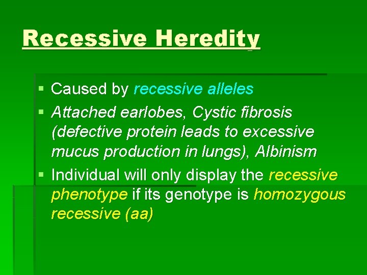 Recessive Heredity § Caused by recessive alleles § Attached earlobes, Cystic fibrosis (defective protein