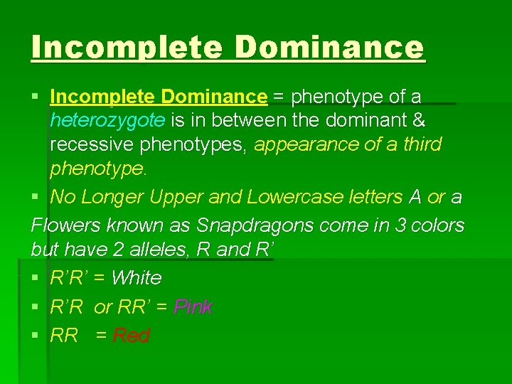 Incomplete Dominance § Incomplete Dominance = phenotype of a heterozygote is in between the