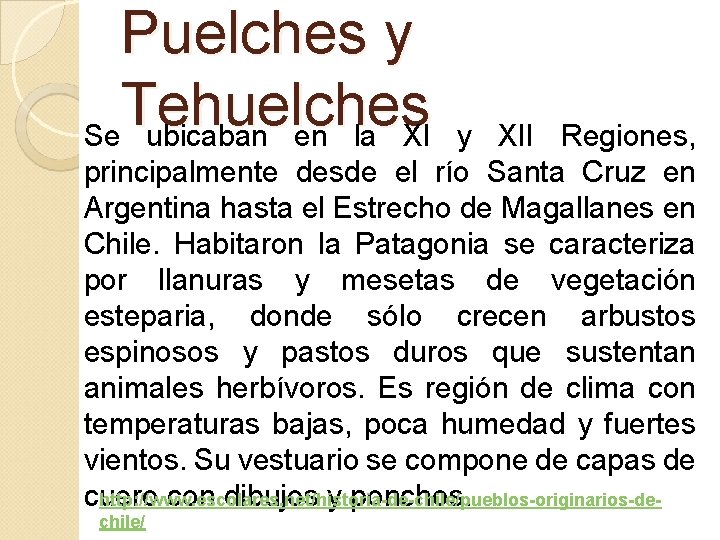 Puelches y Tehuelches Se ubicaban en la XI y XII Regiones, principalmente desde el Puelches y Tehuelches Se ubicaban en la XI y XII Regiones, principalmente desde el