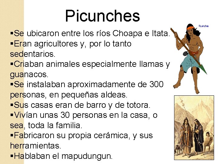 Picunches §Se ubicaron entre los ríos Choapa e Itata. §Eran agricultores y, por lo Picunches §Se ubicaron entre los ríos Choapa e Itata. §Eran agricultores y, por lo