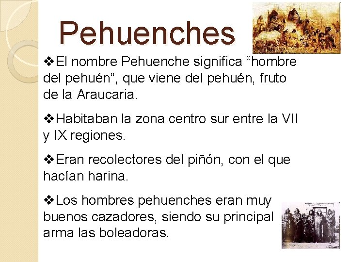 Pehuenches v. El nombre Pehuenche significa “hombre del pehuén”, que viene del pehuén, fruto Pehuenches v. El nombre Pehuenche significa “hombre del pehuén”, que viene del pehuén, fruto