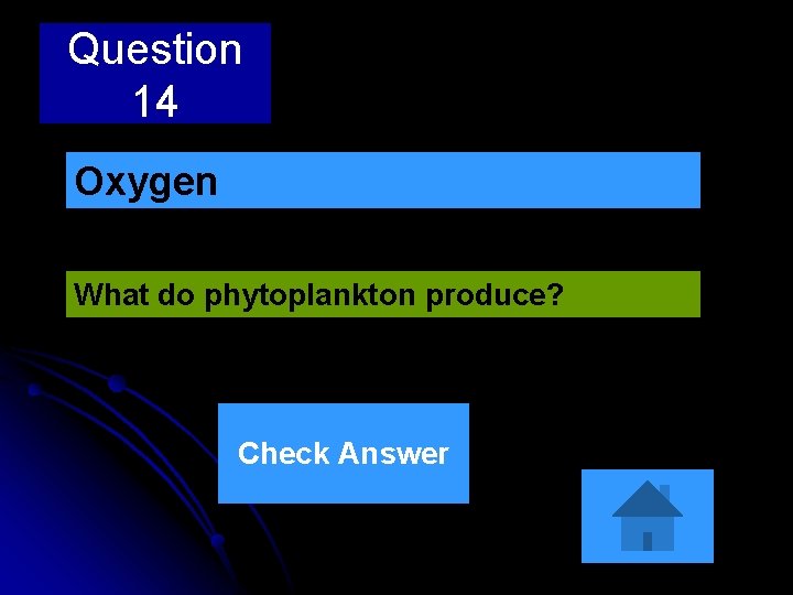 Question 14 Oxygen What do phytoplankton produce? Check Answer Question 14 Oxygen What do phytoplankton produce? Check Answer