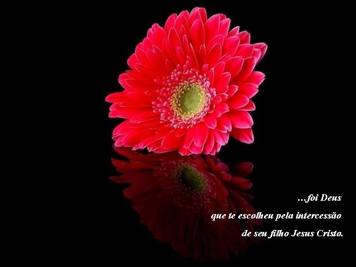 …foi Deus que te escolheu pela intercessão de seu filho Jesus Cristo. 