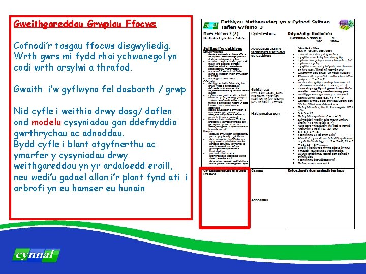 Gweithgareddau Grwpiau Ffocws Cofnodi’r tasgau ffocws disgwyliedig. Wrth gwrs mi fydd rhai ychwanegol yn