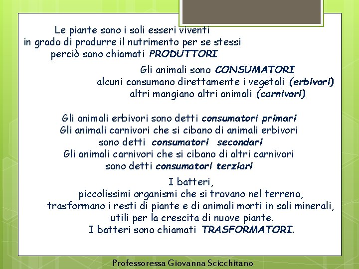 Le piante sono i soli esseri viventi in grado di produrre il nutrimento per