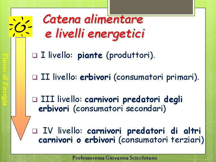 Catena alimentare e livelli energetici Flusso di Energia q I livello: piante (produttori). q