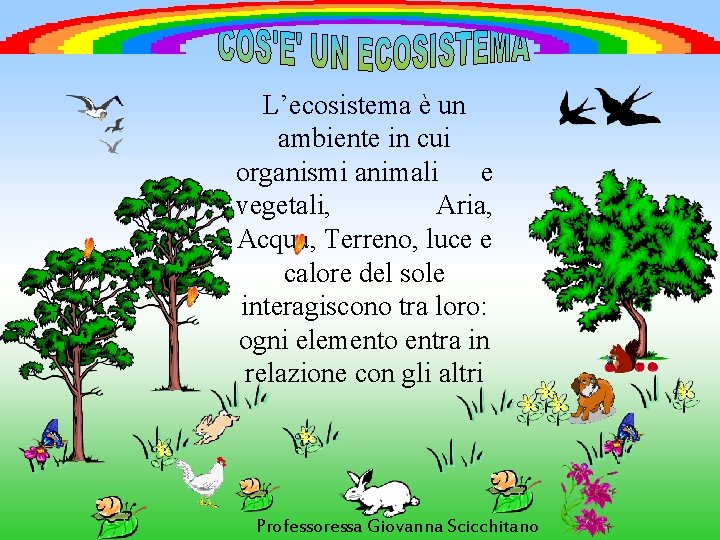 L’ecosistema è un ambiente in cui organismi animali e vegetali, Aria, Acqua, Terreno, luce