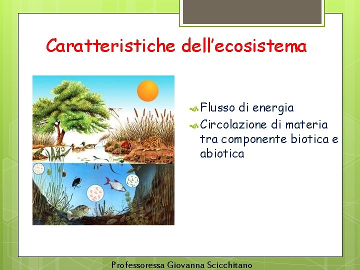 Caratteristiche dell’ecosistema Flusso di energia Circolazione di materia tra componente biotica e abiotica Professoressa