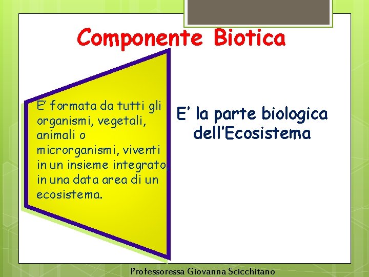 Componente Biotica E’ formata da tutti gli organismi, vegetali, animali o microrganismi, viventi in