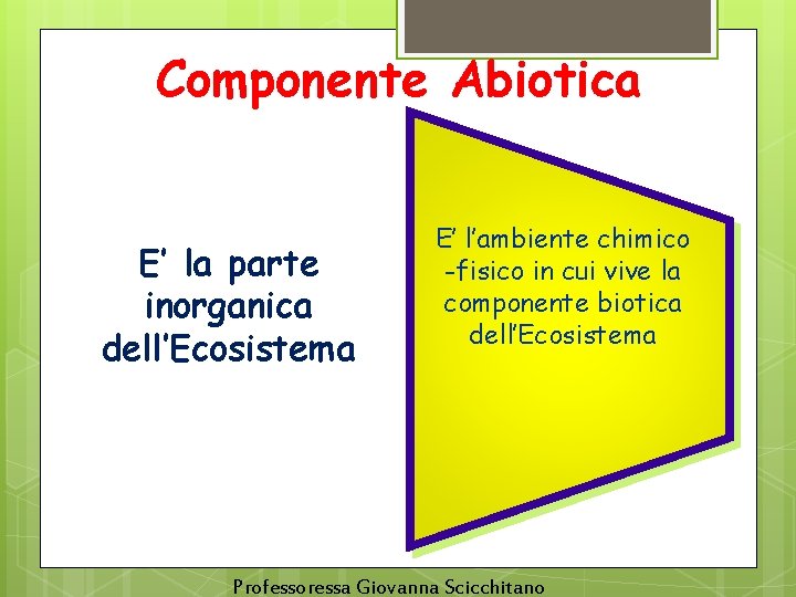 Componente Abiotica E’ la parte inorganica dell’Ecosistema E’ l’ambiente chimico -fisico in cui vive