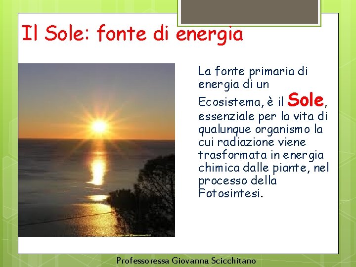 Il Sole: fonte di energia La fonte primaria di energia di un Ecosistema, è