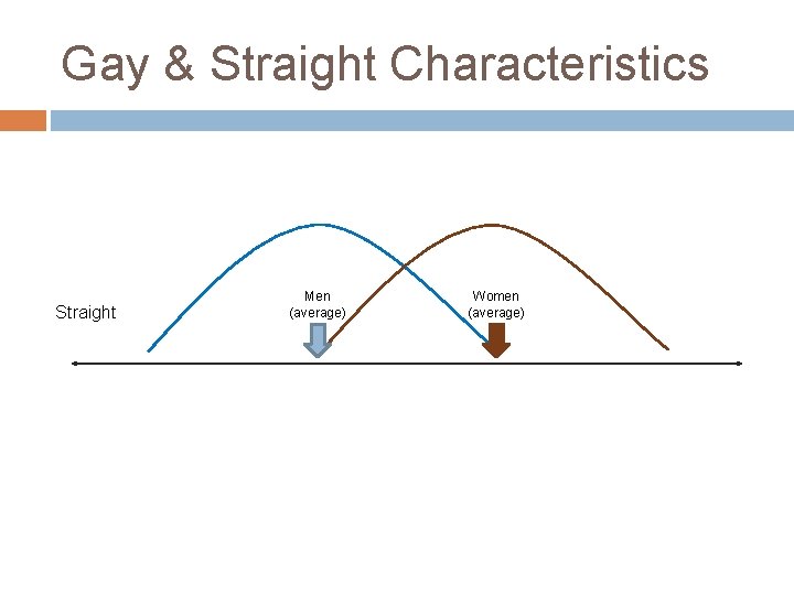Gay & Straight Characteristics Straight Men (average) Women (average) 