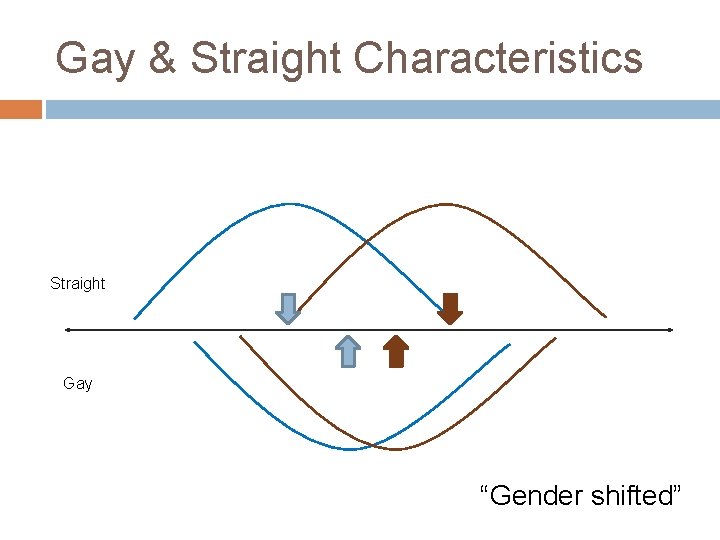 Gay & Straight Characteristics Straight Gay “Gender shifted” 