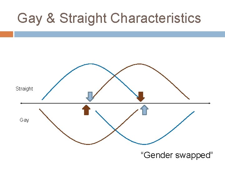 Gay & Straight Characteristics Straight Gay “Gender swapped” 