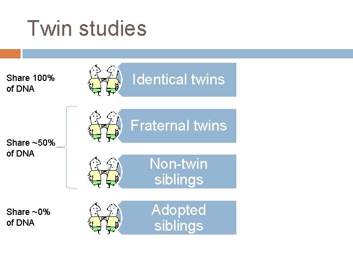 Twin studies Share 100% of DNA Identical twins Fraternal twins Share ~50% of DNA