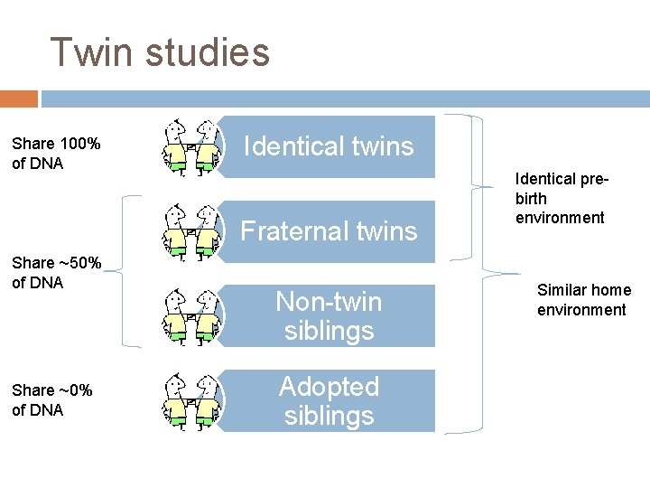 Twin studies Share 100% of DNA Identical twins Fraternal twins Share ~50% of DNA