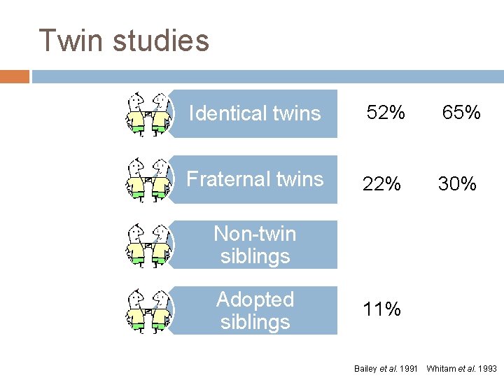 Twin studies Identical twins 52% 65% Fraternal twins 22% 30% Non-twin siblings Adopted siblings