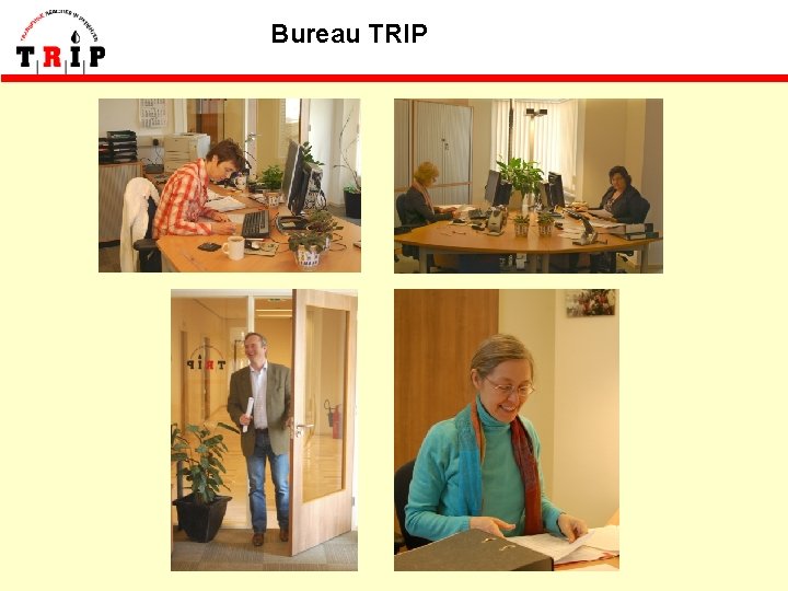 Bureau TRIP 