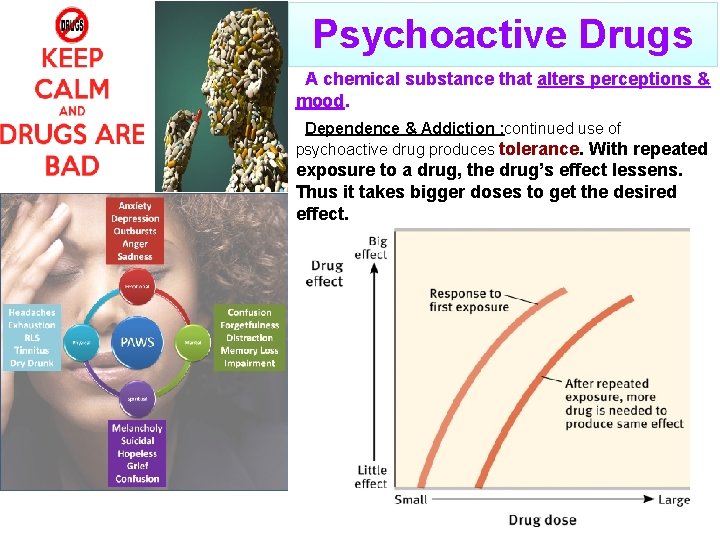 Psychoactive Drugs A chemical substance that alters perceptions & mood. Dependence & Addiction :