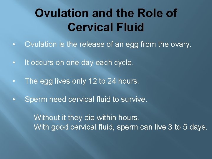 Ovulation and the Role of Cervical Fluid • Ovulation is the release of an