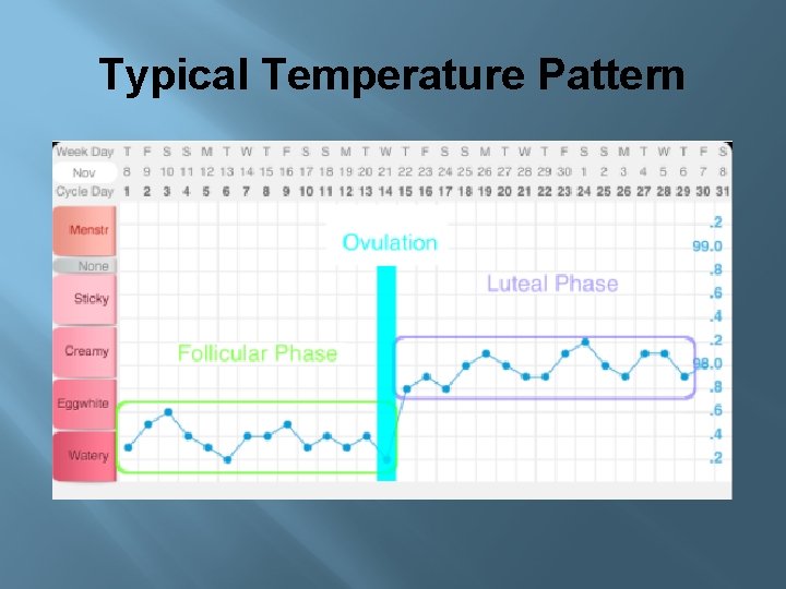 Typical Temperature Pattern 