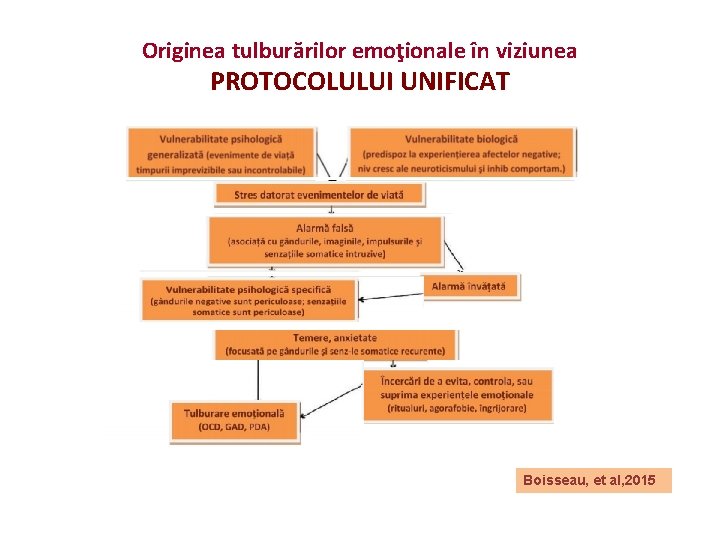 Viziunea somatică este