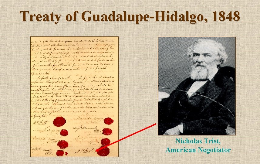 Treaty of Guadalupe-Hidalgo, 1848 Nicholas Trist, American Negotiator 