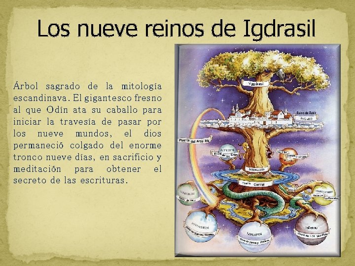 Los nueve reinos de Igdrasil Árbol sagrado de la mitología escandinava. El gigantesco fresno