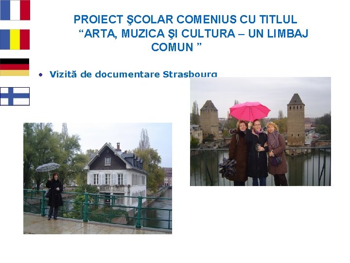 PROIECT ŞCOLAR COMENIUS CU TITLUL “ARTA, MUZICA ŞI CULTURA – UN LIMBAJ COMUN ”