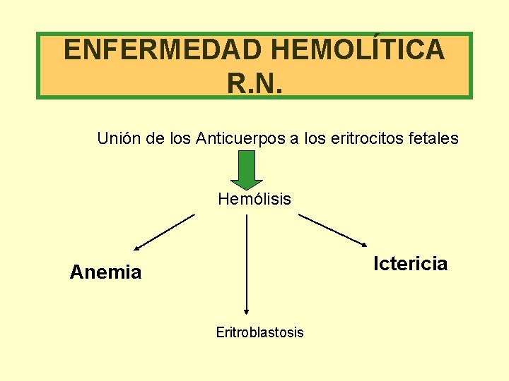 ENFERMEDAD HEMOLÍTICA R. N. Unión de los Anticuerpos a los eritrocitos fetales Hemólisis Ictericia