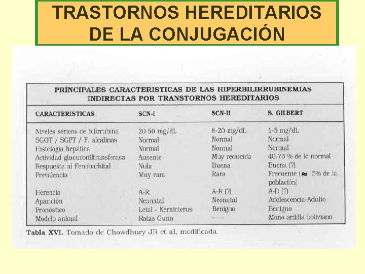 TRASTORNOS HEREDITARIOS DE LA CONJUGACIÓN 