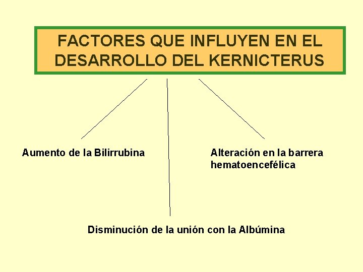 FACTORES QUE INFLUYEN EN EL DESARROLLO DEL KERNICTERUS Aumento de la Bilirrubina Alteración en