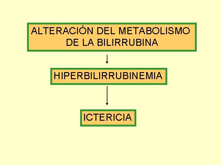 ALTERACIÓN DEL METABOLISMO DE LA BILIRRUBINA HIPERBILIRRUBINEMIA ICTERICIA 