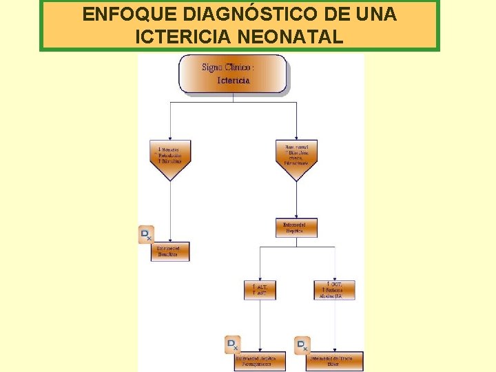 ENFOQUE DIAGNÓSTICO DE UNA ICTERICIA NEONATAL 