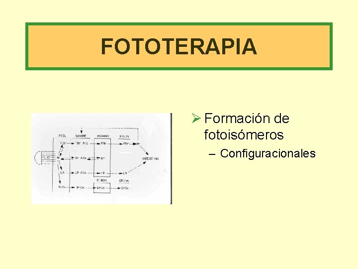 FOTOTERAPIA Ø Formación de fotoisómeros – Configuracionales 