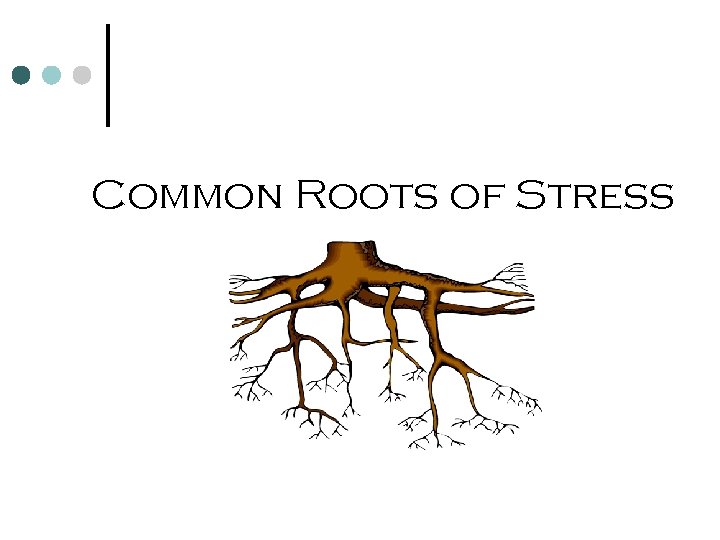 Stressed Roots Health Begins with You Session 5 Understanding Your