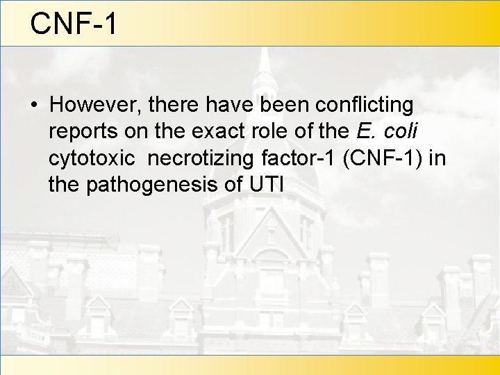 CNF-1 • However, there have been conflicting reports on the exact role of the