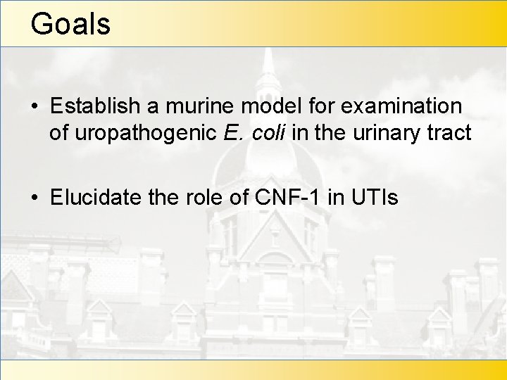 Goals • Establish a murine model for examination of uropathogenic E. coli in the
