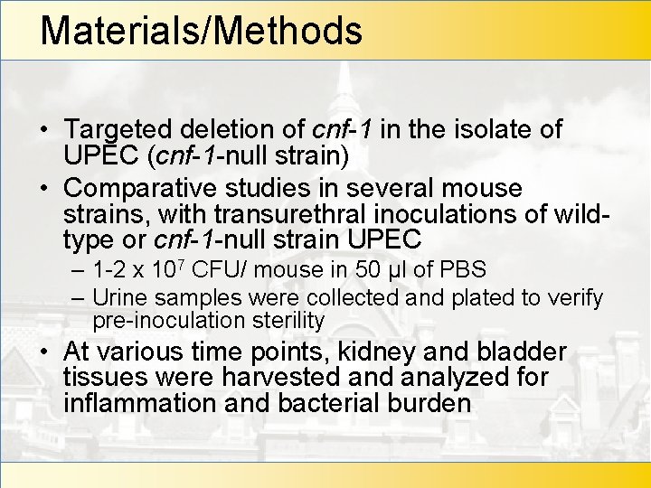 Materials/Methods • Targeted deletion of cnf-1 in the isolate of UPEC (cnf-1 -null strain)