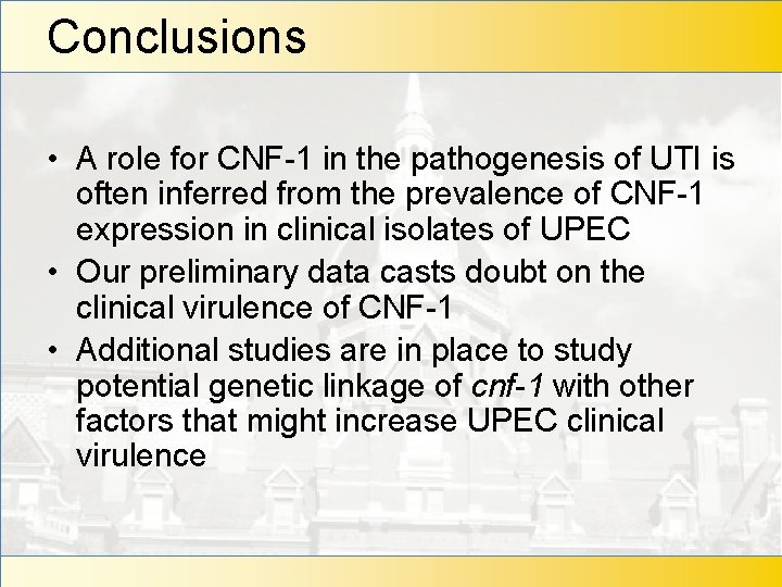 Conclusions • A role for CNF-1 in the pathogenesis of UTI is often inferred