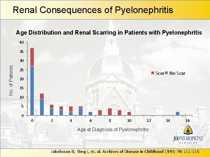 Renal Consequences of Pyelonephritis Age Distribution and Renal Scarring in Patients with Pyelonephritis 40